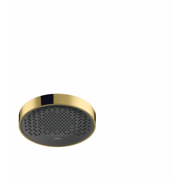 hansgrohe rainfinity hoofddouche 25cm met plafondarm polished gold optic sw451568