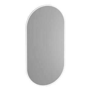 Saniclass ovaal - Spiegel - 50x100cm - verlichting - ovaal - Zilver SP-OVAAL100