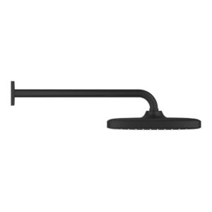 GROHE Tempesta 250 Cube Hoofddouche - wand - 38cm - matte black 266872430