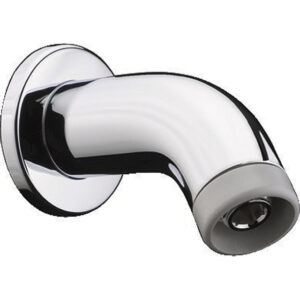 Hansgrohe Universeel douchearm 1/2x100mm chroom 27438000